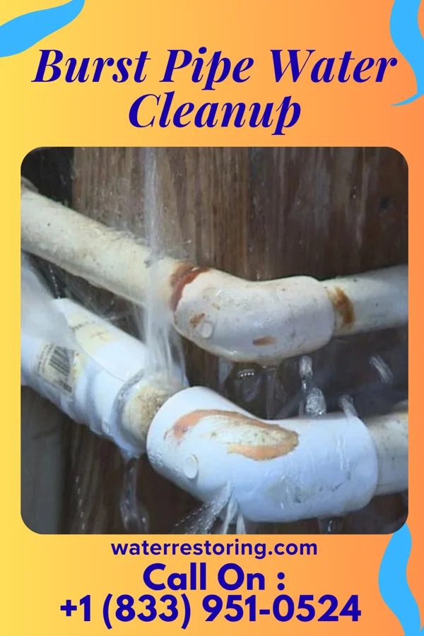 Burst Pipe Water Cleanup in Lenkerville, PA