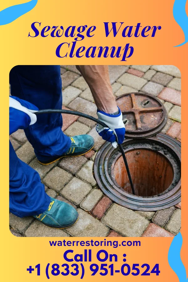 Sewage Water Cleanup in Lenkerville, PA