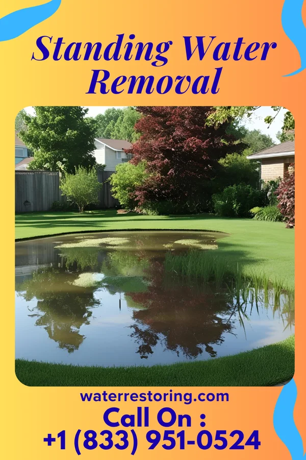Standing Water Removal in Lenkerville, PA
